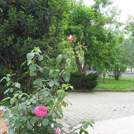 Casa Bruno Bed & Breakfast Mondovì