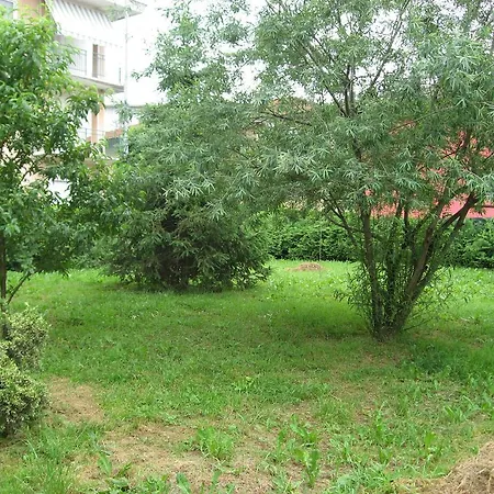 Casa Bruno B&B 몬도비